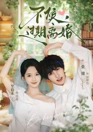 不候，过期离婚 — Staffel 1