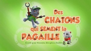 Des Chatons qui sèment la pagaille