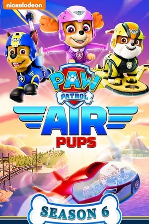 Paw Patrol: Sæson 6