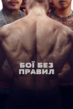Image Бої без правил