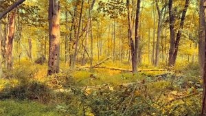 A Late Night Bottle of Water