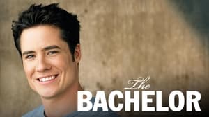 poster The Bachelor