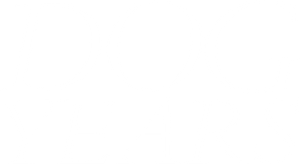 Dog Years