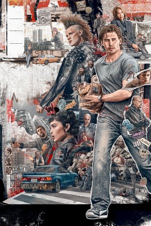 <Images posters