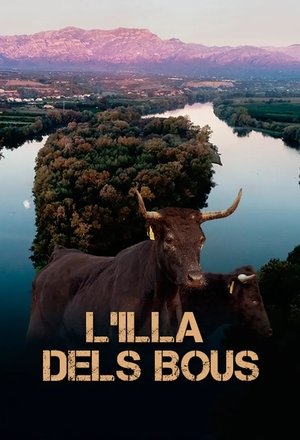 Póster oficial de la película L'illa dels bous