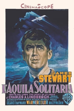 Poster di L'aquila solitaria