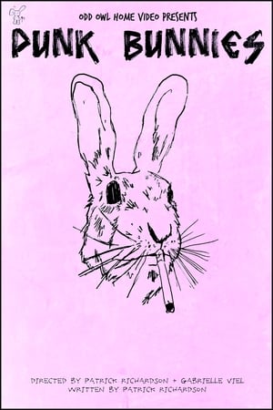 Poster Punk Bunnies 2024