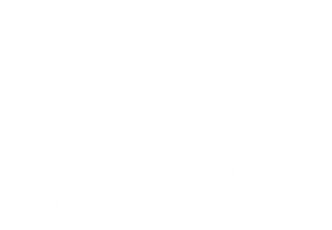 Malu Mulher — Logos 1