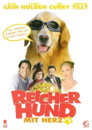 Image Reicher Hund mit Herz