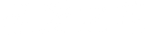 いちばんすきな花 — Logos 5