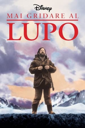 Poster Mai gridare al lupo 1983