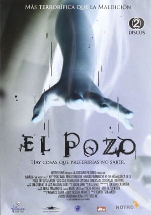 Poster El pozo 2005