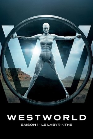 Westworld: Saison 1 : Le Labyrinthe