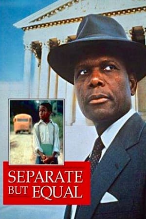 Poster Separate But Equal 1991