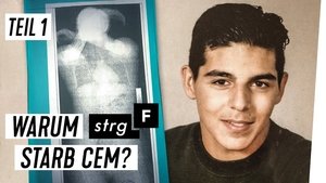 Episode 53