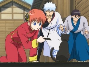 Gintama Episodio 144