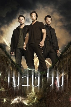 poster Supernatural
