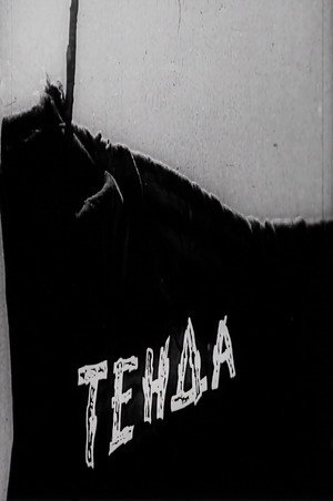 Shelter
