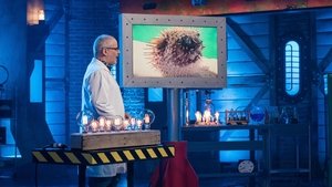 Génial! Season 10 Episode 40