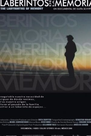 Poster Los laberintos de la memoria (2007)