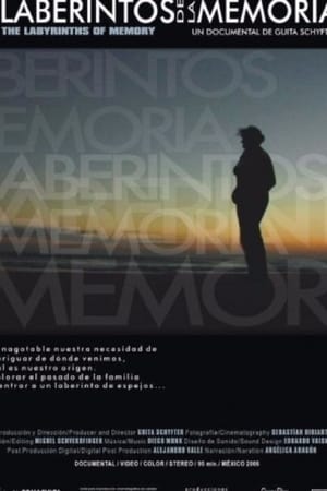 Poster Los laberintos de la memoria 2007