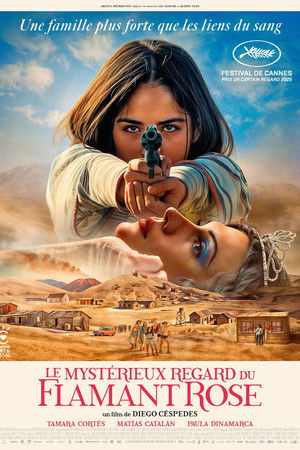Image Le Mystérieux regard du flamant rose