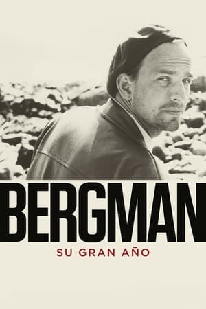 Poster Bergman. Su gran año 2018