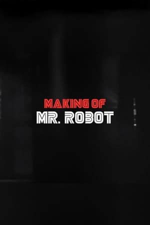 Image Making Of Mr. Robot