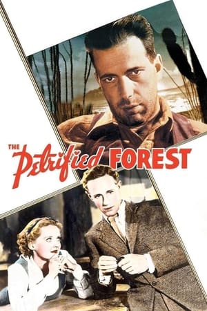 Poster The Petrified Forest 1936