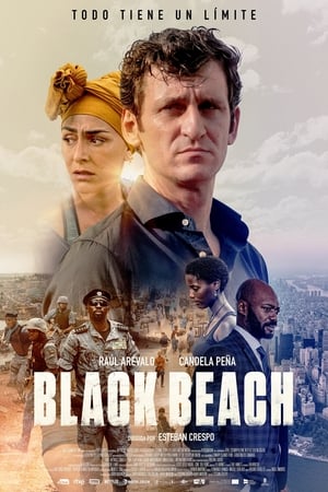 Poster Black Beach 2020