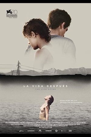 Poster La vida después 2013