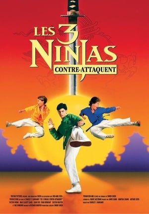 Poster Ninja Kids 2 : Les 3 Ninjas contre-attaquent 1994