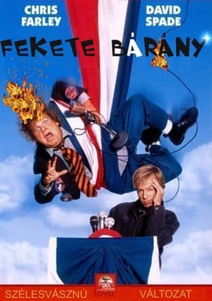 Poster Fekete bárány 1996