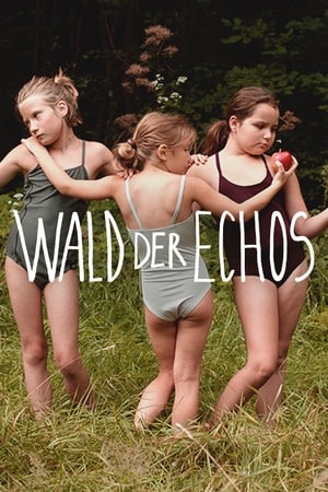 Image Wald der Echos