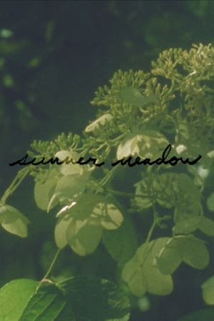 Poster Summer Meadow (2024)