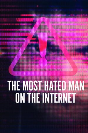 The Most Hated Man on the Internet: Limited Series