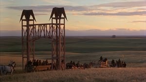 Days of Heaven (1978)