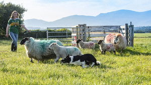 Come Bye! 2007 one on netflix