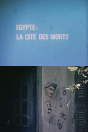 Égypte : La Cité des morts
