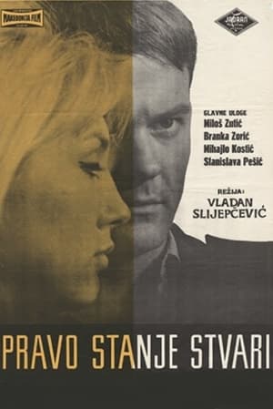 Poster The Real State of Affairs (1964)