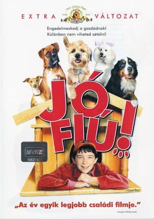 Jó fiú! (2003)