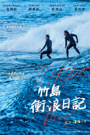 Poster 竹岛冲浪日记 2020