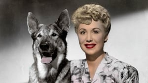 The Return of Rin Tin Tin