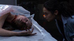 Download The Possession of Hannah Grace (2018) {Hindi-English} 480p,720p,1080p