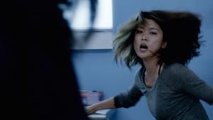 Hawaii Five-0: Stagione 5 x Episodio 14