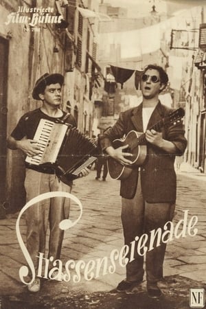 Straßenserenade poster