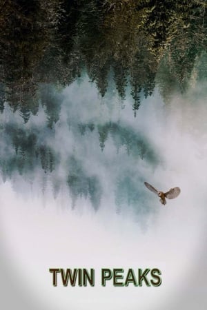 Image Mestečko Twin Peaks