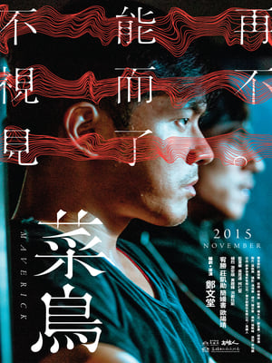 Poster 菜鳥 2015