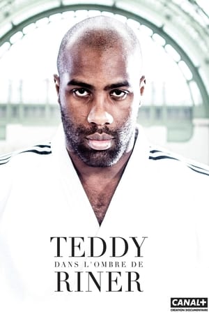 Dans l'ombre de Teddy Riner poster