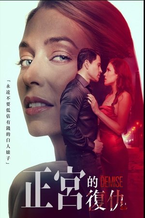 正宫的复仇 (2024)